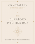 The Curator’s Intuition Box