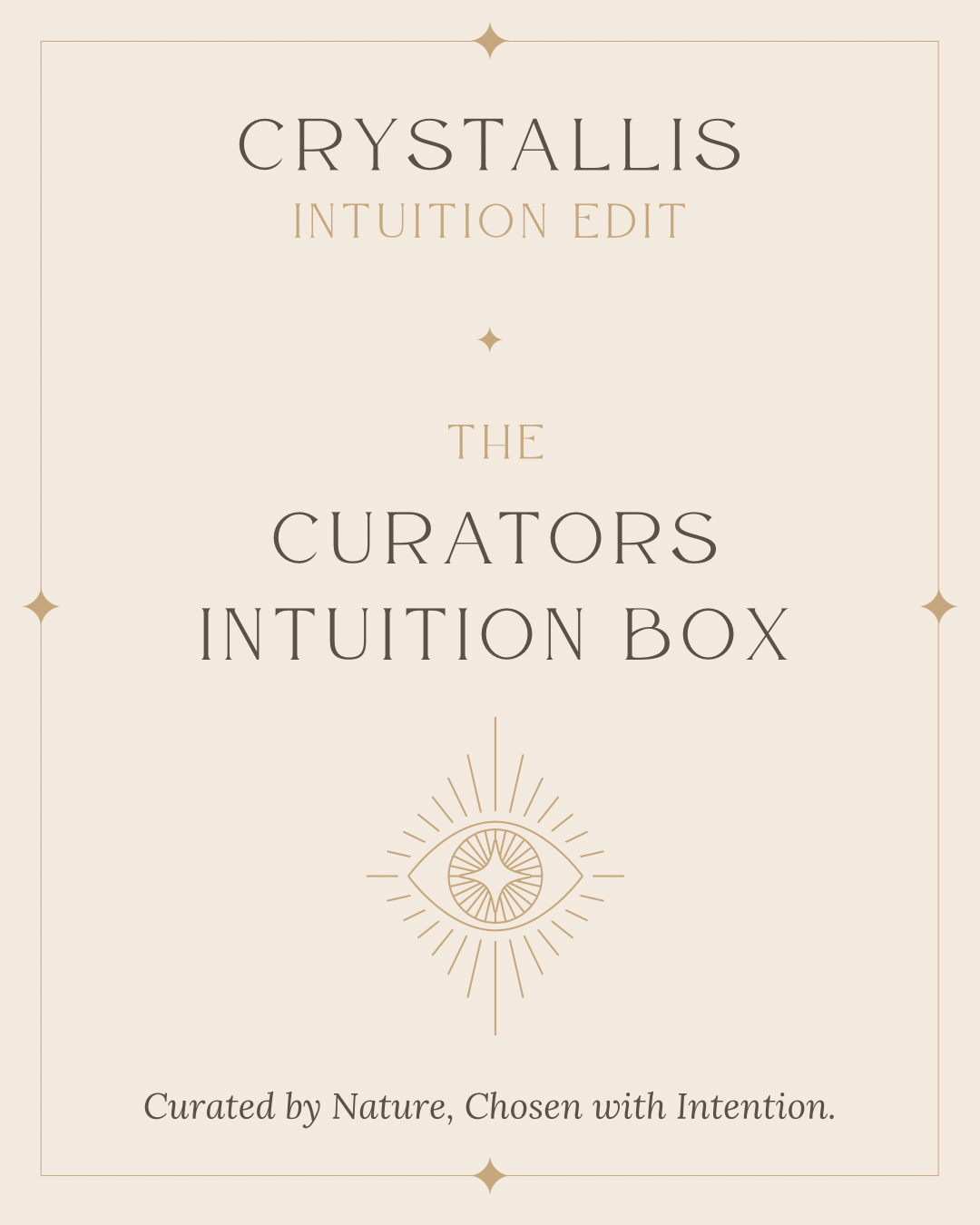 The Curator’s Intuition Box