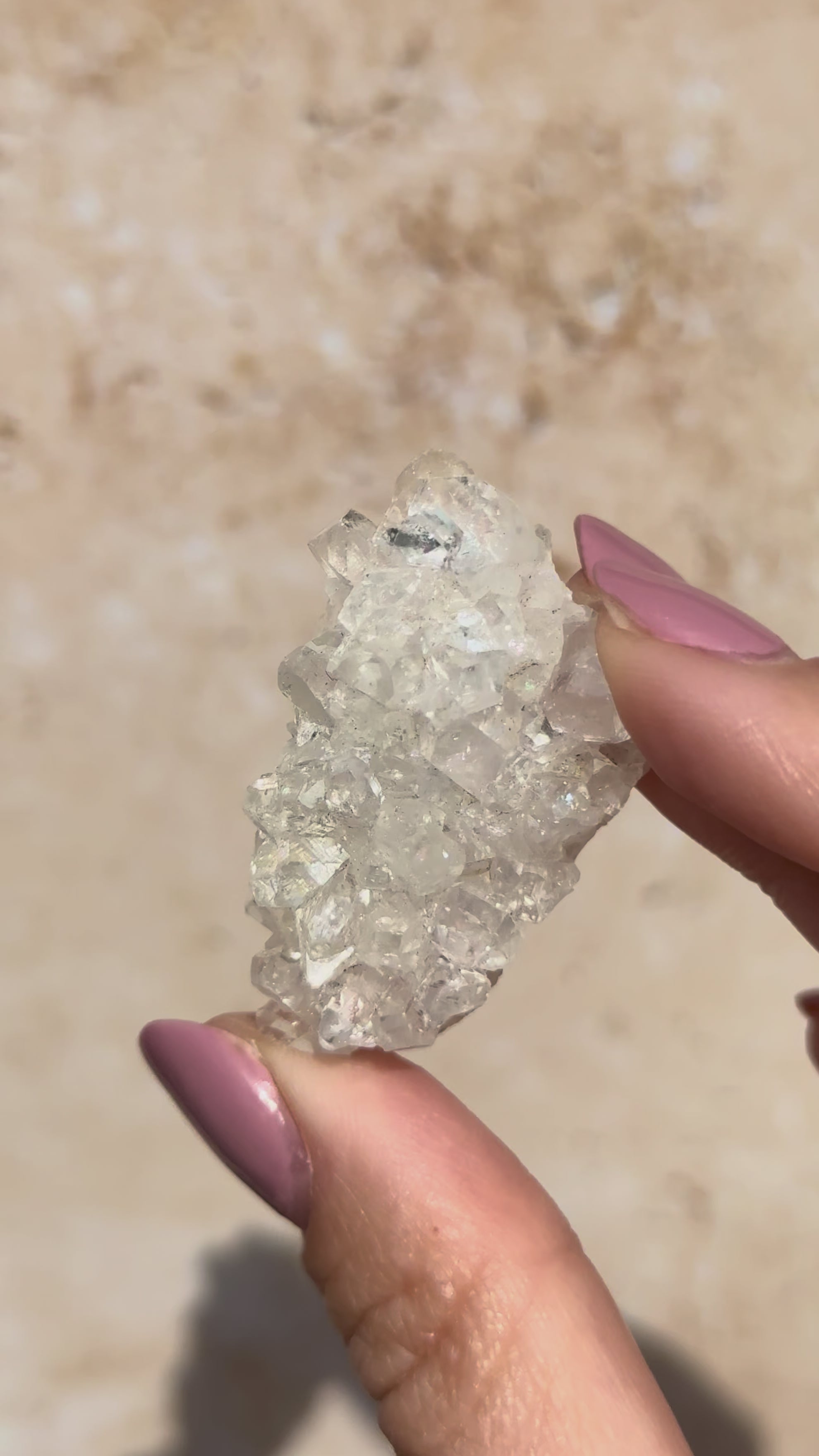 Diamond Apophyllite Cluster B | India
