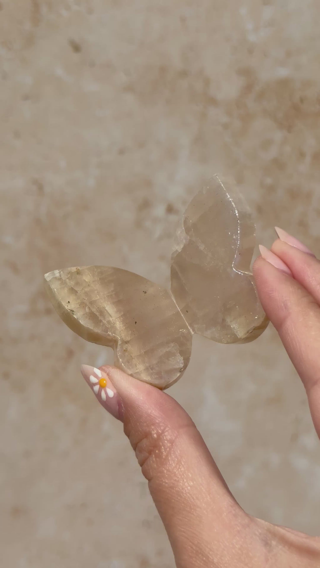 Tanzanian Moonstone 3D Butterfly Carving with Flash E | Tanzania