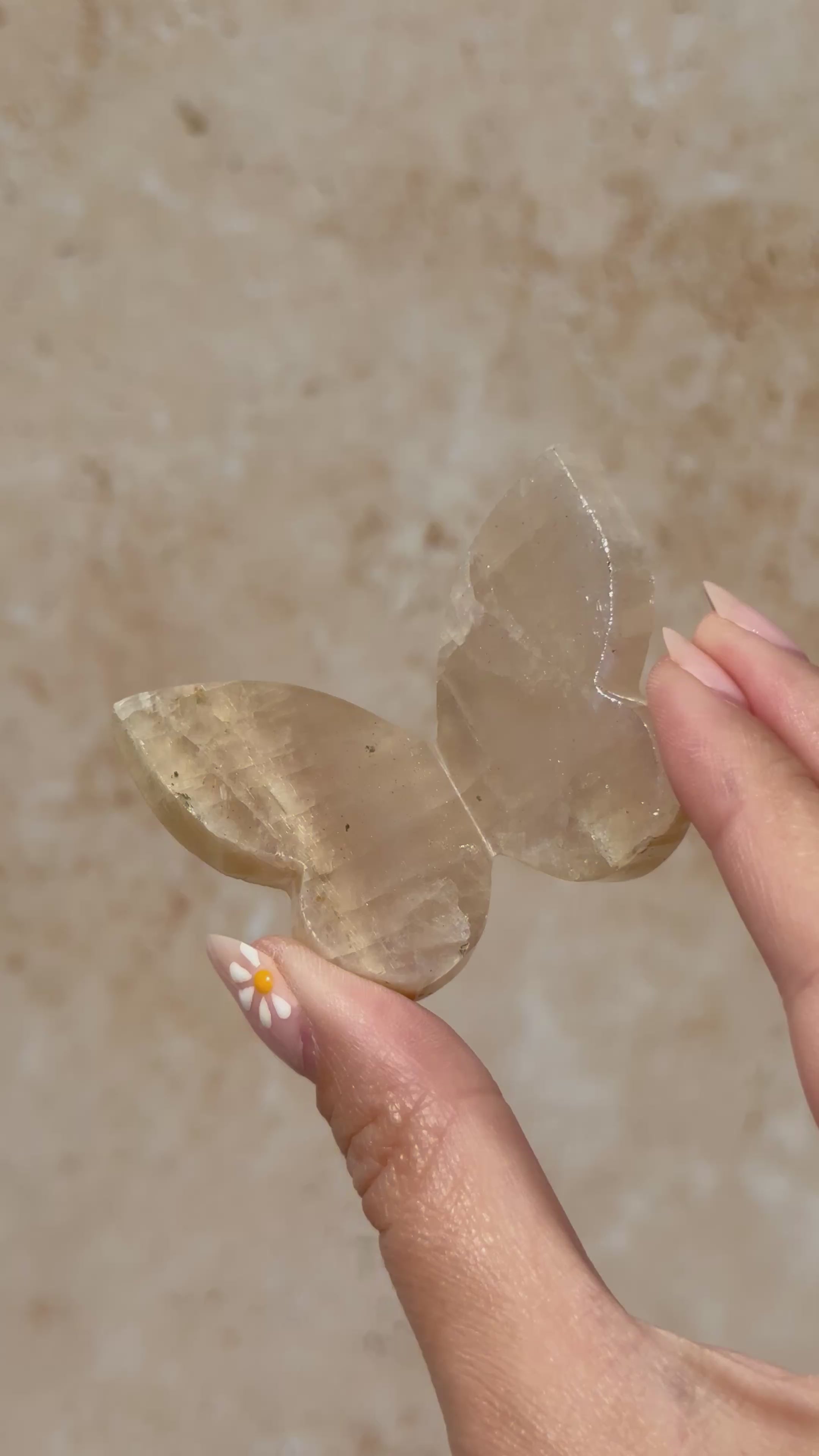 Tanzanian Moonstone 3D Butterfly Carving with Flash E | Tanzania